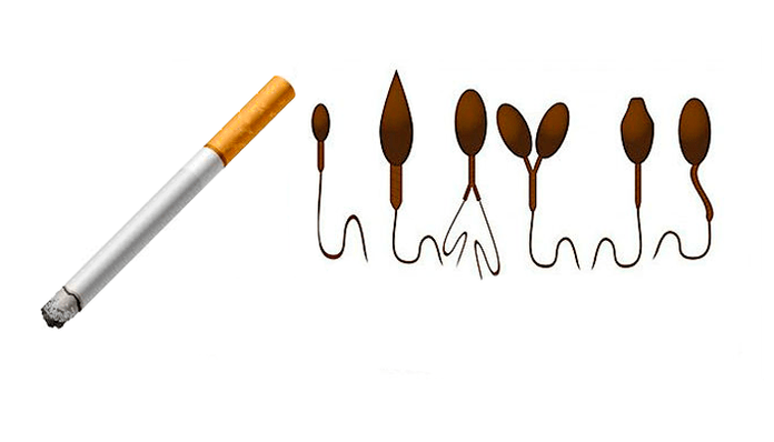 Tubakasõltuvusest tingitud spermatosoidide ebanormaalne struktuur